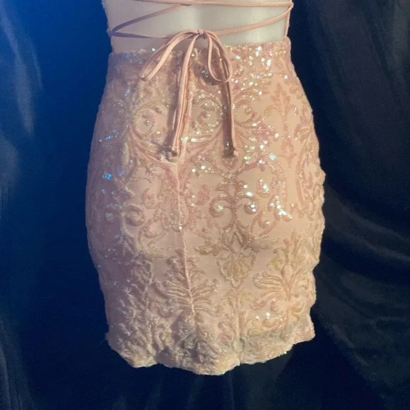 Windsor Blush Sequin Embellished Dress - Picture 4 of 8